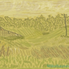 Home field