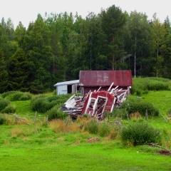 Nokkosia_ja_Rakenteita
